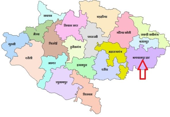 How Many Blocks Are There in Siwan? Full List of 19 Blocks Under Siwan & Maharajganj Subdivisions