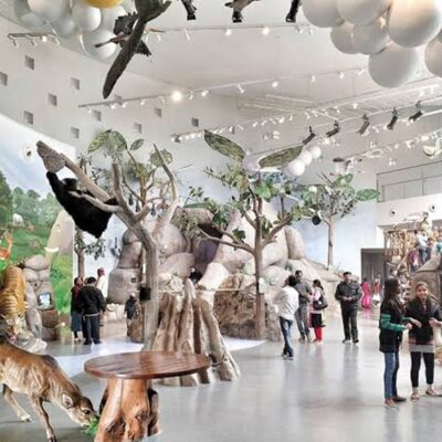 Bihar Museum Ranks 9th Globally, No. 1 in Asia in 2026